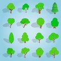 Tree set icons, isometric 3d style Royalty Free Stock Photo