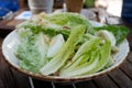 Close-up Chinese cabbage in a white dish. Royalty Free Stock Photo