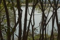 Tree-shaded area next to a creek within El Palmar National Park