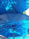 Tree shadow on bright blue umbrella Royalty Free Stock Photo