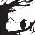 tree shadow with crow design vector