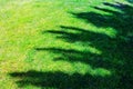 Tree shadow on grass field Royalty Free Stock Photo