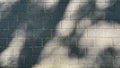 Tree shadow on gray marble floor in the walkway of the park. Royalty Free Stock Photo
