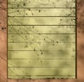 Tree shadow on a green wooden wall of the house Royalty Free Stock Photo