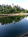 Tree Shadow in Water Padu Empat Royalty Free Stock Photo