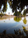 Tree shadows on river Royalty Free Stock Photo