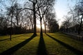 Tree shadows at sunset in a park in London Royalty Free Stock Photo