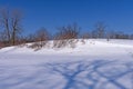 Tree Shadows on the Unblemished Snow Royalty Free Stock Photo