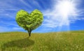 Tree in shape of heart, eco concept. Royalty Free Stock Photo