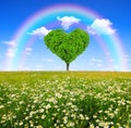 Tree in the shape of heart Royalty Free Stock Photo