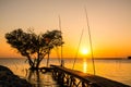 Tree in the shape of heart with wood bridge on the sea at twilight in Bangpu , in Thailand