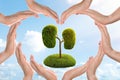 Tree in shape of human kidneys and people forming heart with their hands against blue sky, closeup. Health care concept Royalty Free Stock Photo