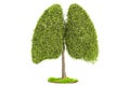 Tree in the shape of lungs, eco concept. 3D rendering Royalty Free Stock Photo