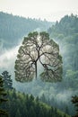 Tree in Shape of Lungs, Eco Concept Royalty Free Stock Photo