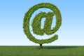 Tree in the shape of mail symbol on the green grass against blue Royalty Free Stock Photo