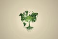 Tree shaped world map symbolizing environmental awareness Royalty Free Stock Photo