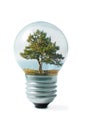 Tree on shore in Light bulb collage Royalty Free Stock Photo