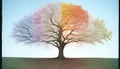A Tree Showing All Four Seasons in One ImageAI Generated Royalty Free Stock Photo