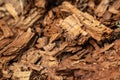 Tree shredded chips macro close up wooden texture Royalty Free Stock Photo