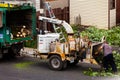 Tree Shredder Machine in action and workers pushing Branches int