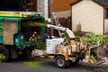 Tree Shredder Machine in action and workers pushing Branches int