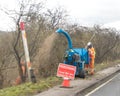 Tree Shredding Cutback