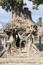 The tree shrine in Gokarna Mahadev temple, Gokarneshwar in Kathmandu valley, Nepal