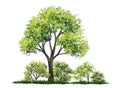 Tree side view isolated on white background for landscape Royalty Free Stock Photo