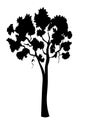 Tree silhouette vector illustration.Tree Royalty Free Stock Photo