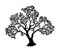 Tree silhouette Royalty Free Stock Photo