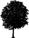 Tree silhouette