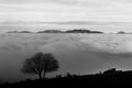 A tree silhouette above a sea of fog and mountains with snow at the distance Royalty Free Stock Photo