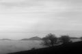 A tree silhouette above a sea of fog and mountains with snow at the distance Royalty Free Stock Photo