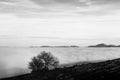 A tree silhouette above a sea of fog and mountains with snow at the distance Royalty Free Stock Photo