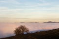 A tree silhouette above a sea of fog and mountains with snow at the distance Royalty Free Stock Photo