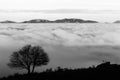 A tree silhouette above a sea of fog and mountains with snow at the distance Royalty Free Stock Photo