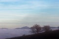 A tree silhouette above a sea of fog and mountains with snow at the distance Royalty Free Stock Photo