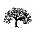 Tree silhouette. Abstract black image of a tree with leaves Royalty Free Stock Photo