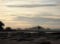 Tree silhouette against sunset and ocean background Royalty Free Stock Photo