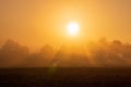 Tree silhouette on agriculture field with misty fog and sunbeam. Gold colored sunrise, Czech landscape