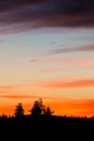 Tree silhouette and beautiful vibrant sunset clouds