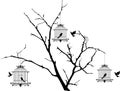 Tree silhouette with birds flying and bird in a cage