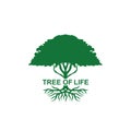 Tree of life Silhouette green