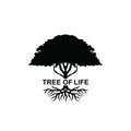 Tree of life Silhouette Royalty Free Stock Photo