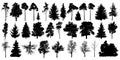 Tree silhouette black vector. Isolated set forest trees on white background Royalty Free Stock Photo