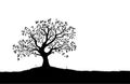 Tree Silhouette, Black and White Vector Shape Royalty Free Stock Photo
