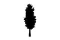 Tree silhouette botanic artwork seasonal wood shape art