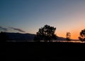 Tree silhouette in the bright evening sunset over the wide heaven, field and the lake. space for text
