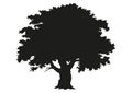 Tree silhouette. Drawing Royalty Free Stock Photo