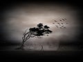 Tree silhouette and flock of birds flying away in the evening. Lonely thoughtful man walking against an isolated dark tree. Royalty Free Stock Photo